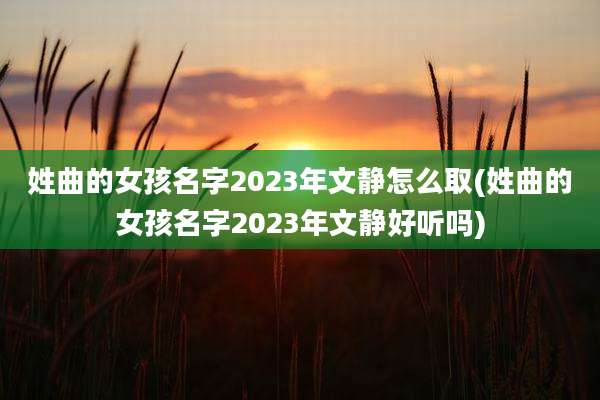 姓曲的女孩名字2023年文静怎么取(姓曲的女孩名字2023年文静好听吗)