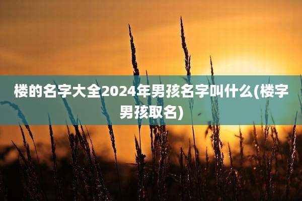 楼的名字大全2024年男孩名字叫什么(楼字男孩取名)
