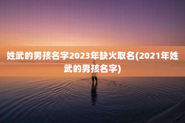 姓武的男孩名字2023年缺火取名(2021年姓武的男孩名字)