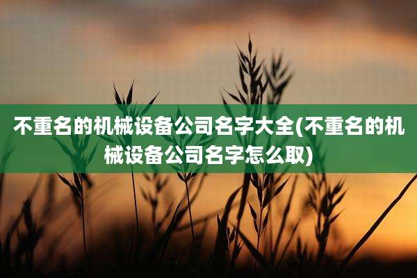 不重名的机械设备公司名字大全(不重名的机械设备公司名字怎么取)