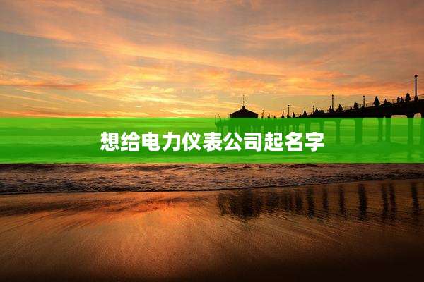 想给电力仪表公司起名字