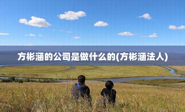 方彬涵的公司是做什么的(方彬涵法人)