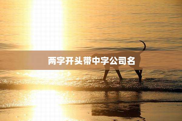 两字开头带中字公司名