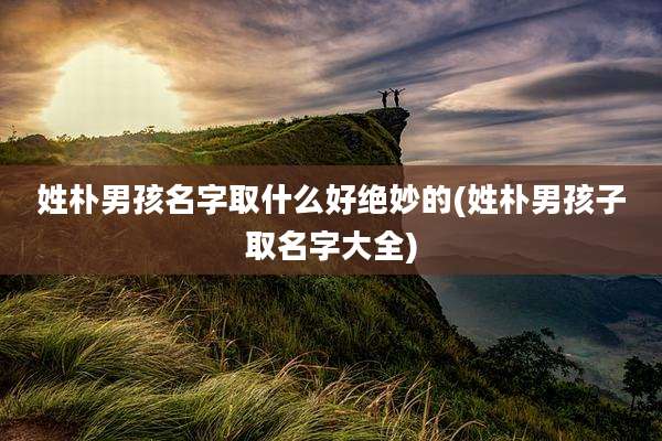 姓朴男孩名字取什么好绝妙的(姓朴男孩子取名字大全)