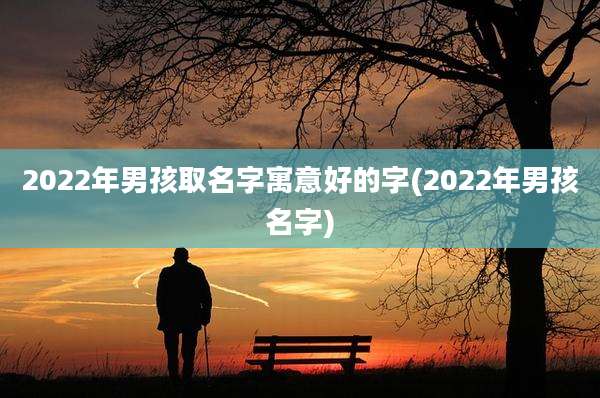2022年男孩取名字寓意好的字(2022年男孩名字)