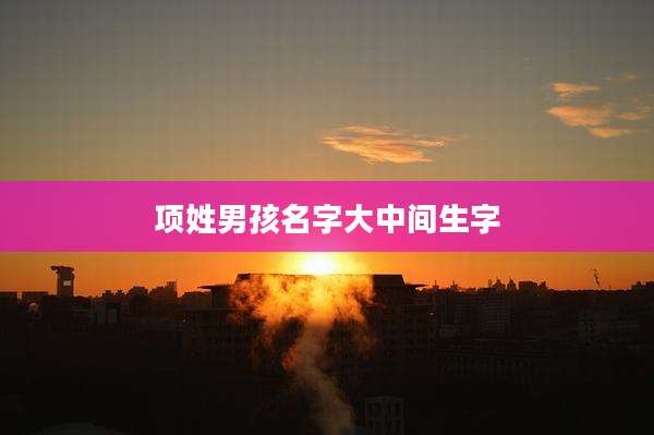 项姓男孩名字大中间生字