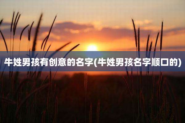 牛姓男孩有创意的名字(牛姓男孩名字顺口的)