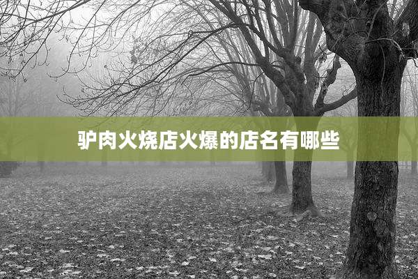 驴肉火烧店火爆的店名有哪些