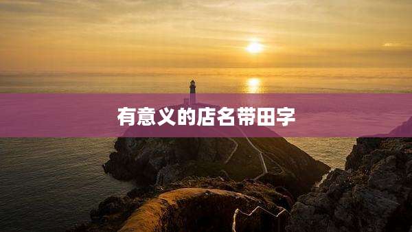 有意义的店名带田字