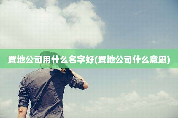 置地公司用什么名字好(置地公司什么意思)
