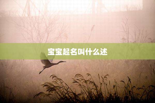 宝宝起名叫什么述