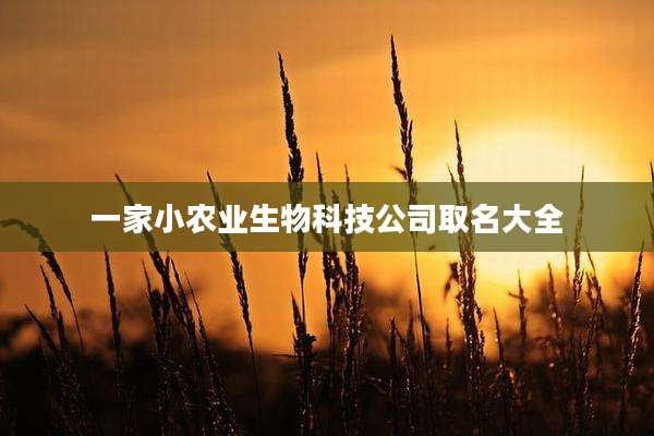 一家小农业生物科技公司取名大全