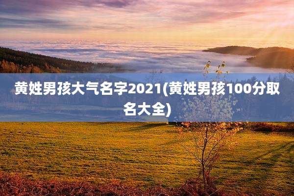 黄姓男孩大气名字2021(黄姓男孩100分取名大全)