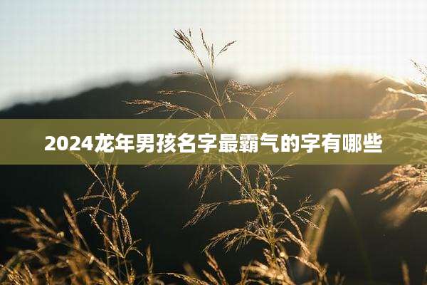 2024龙年男孩名字最霸气的字有哪些