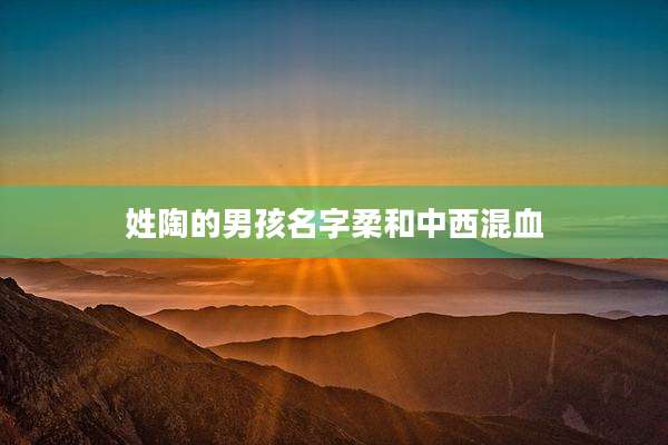 姓陶的男孩名字柔和中西混血