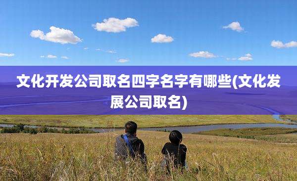 文化开发公司取名四字名字有哪些(文化发展公司取名)