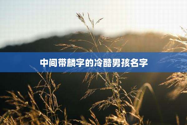 中间带麟字的冷酷男孩名字