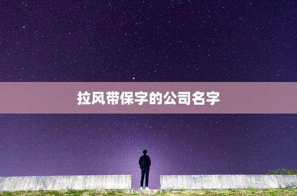 拉风带保字的公司名字