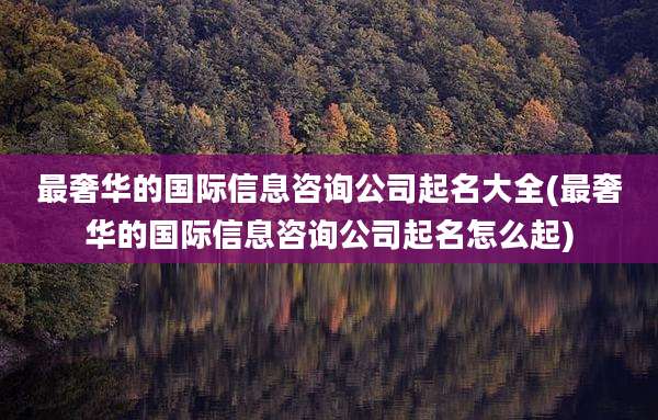 最奢华的国际信息咨询公司起名大全(最奢华的国际信息咨询公司起名怎么起)