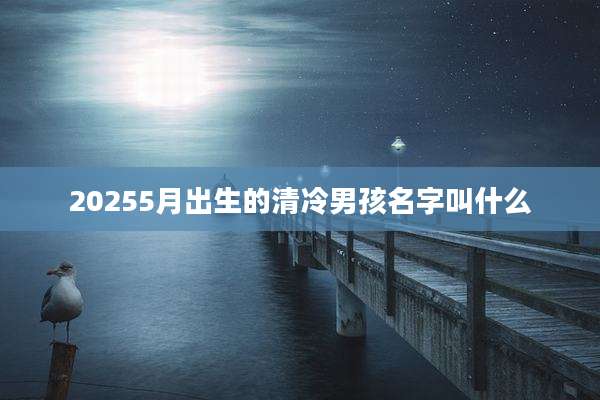 20255月出生的清冷男孩名字叫什么
