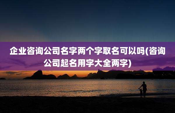 企业咨询公司名字两个字取名可以吗(咨询公司起名用字大全两字)