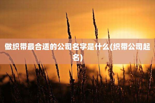 做织带最合适的公司名字是什么(织带公司起名)