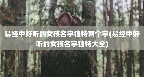 易经中好听的女孩名字独特两个字(易经中好听的女孩名字独特大全)