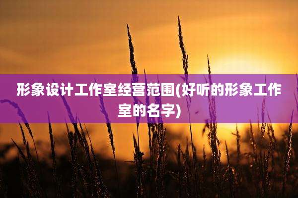 形象设计工作室经营范围(好听的形象工作室的名字)