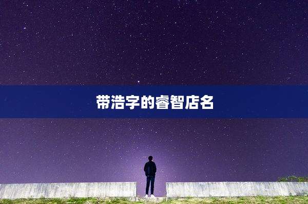 带浩字的睿智店名