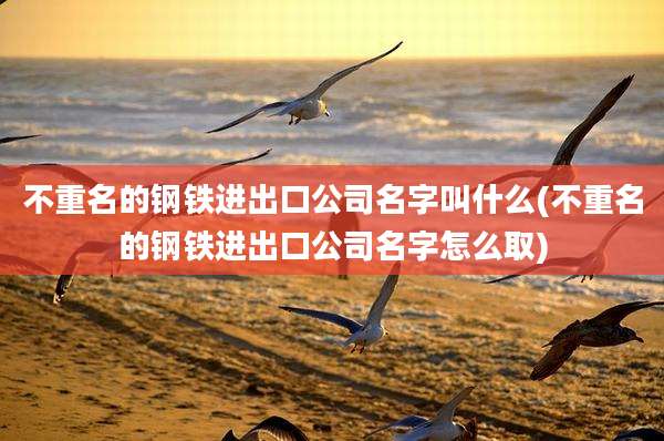 不重名的钢铁进出口公司名字叫什么(不重名的钢铁进出口公司名字怎么取)