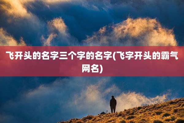 飞开头的名字三个字的名字(飞字开头的霸气网名)
