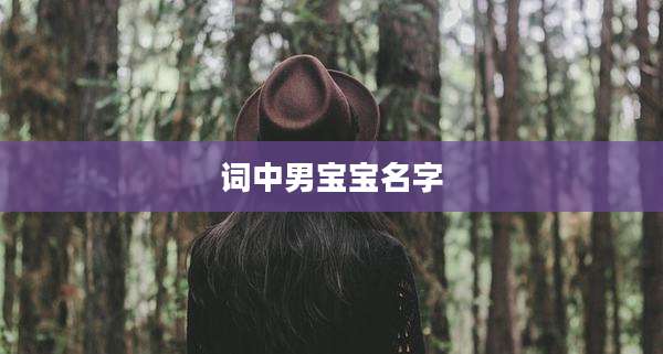词中男宝宝名字