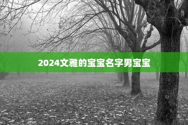 2024文雅的宝宝名字男宝宝
