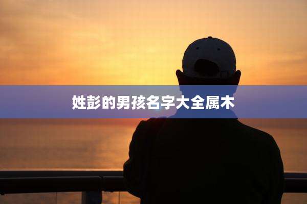 姓彭的男孩名字大全属木