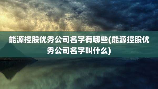 能源控股优秀公司名字有哪些(能源控股优秀公司名字叫什么)