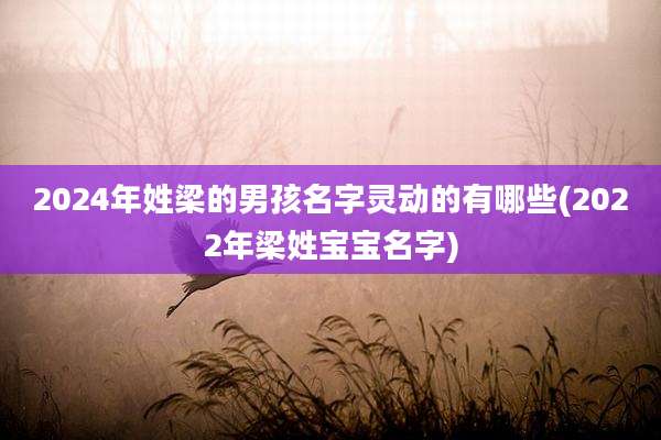 2024年姓梁的男孩名字灵动的有哪些(2022年梁姓宝宝名字)