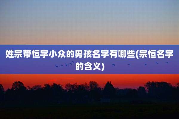 姓宗带恒字小众的男孩名字有哪些(宗恒名字的含义)