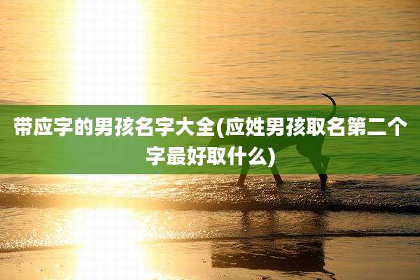 带应字的男孩名字大全(应姓男孩取名第二个字最好取什么)