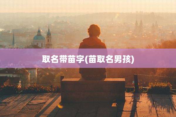 取名带苗字(苗取名男孩)