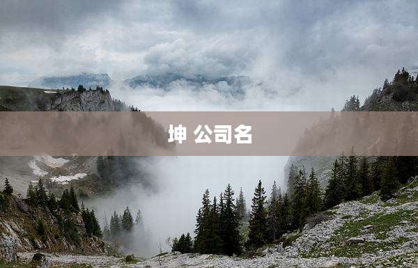 坤 公司名