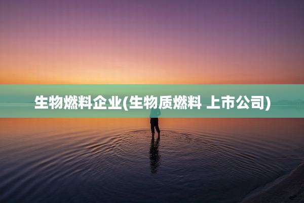 生物燃料企业(生物质燃料 上市公司)
