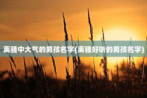 离骚中大气的男孩名字(离骚好听的男孩名字)