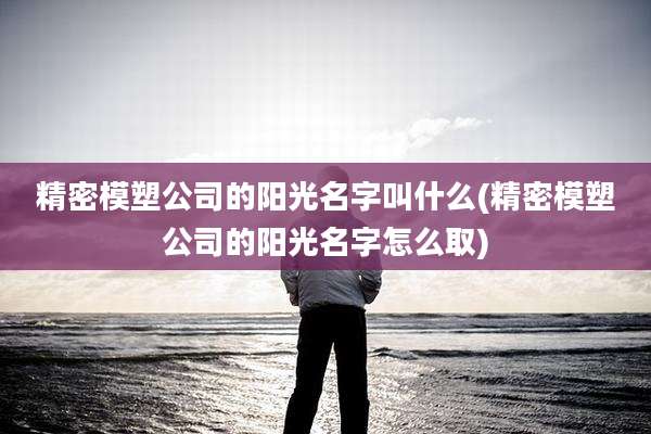 精密模塑公司的阳光名字叫什么(精密模塑公司的阳光名字怎么取)