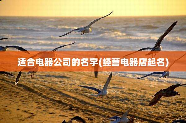 适合电器公司的名字(经营电器店起名)