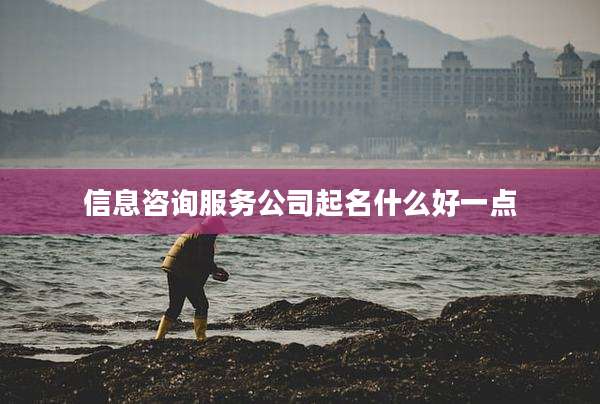 信息咨询服务公司起名什么好一点