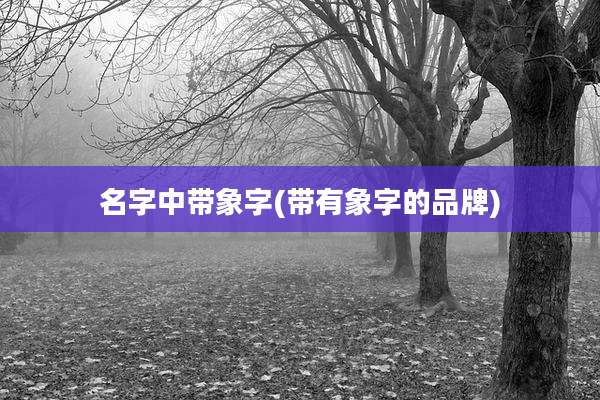 名字中带象字(带有象字的品牌)