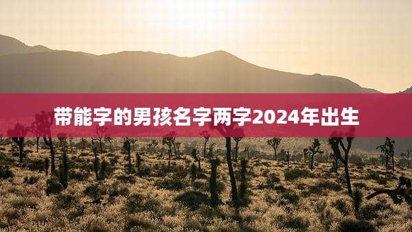 带能字的男孩名字两字2024年出生