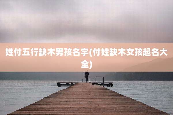 姓付五行缺木男孩名字(付姓缺木女孩起名大全)