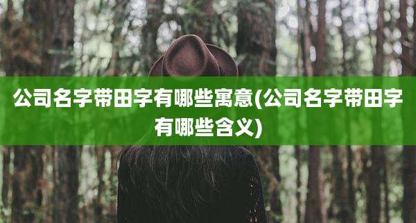 公司名字带田字有哪些寓意(公司名字带田字有哪些含义)