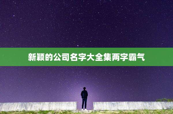 新颖的公司名字大全集两字霸气